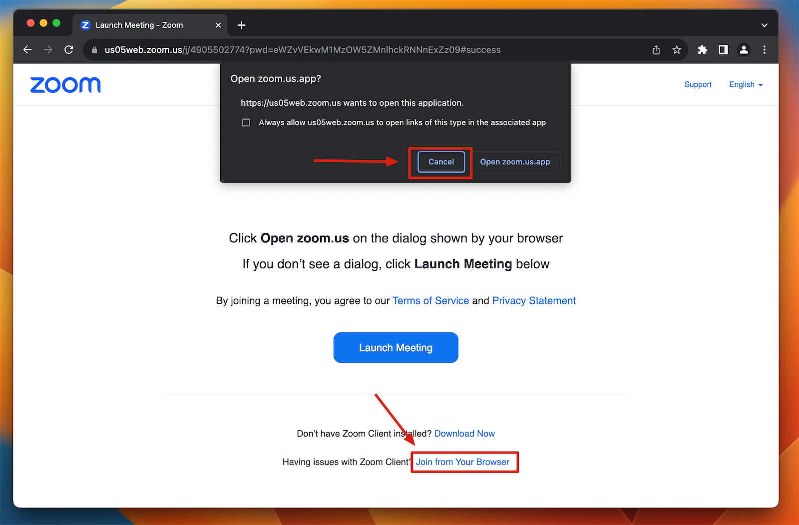 Joining Zoom from your browser